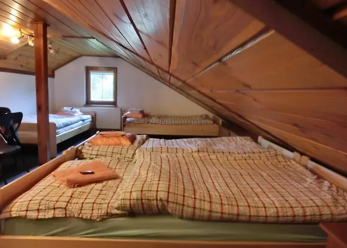 Vyhlidka 체스케부데요비체